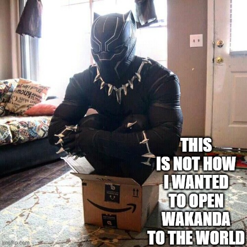 Comes With Your Prime Membership | THIS IS NOT HOW I WANTED TO OPEN WAKANDA TO THE WORLD | image tagged in wakanda forever | made w/ Imgflip meme maker