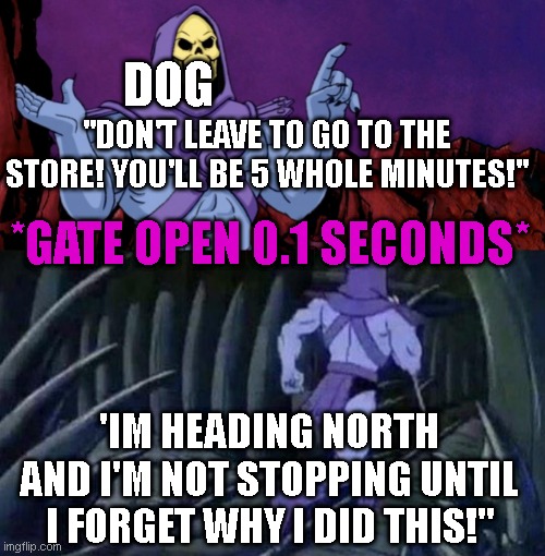 he man skeleton advices | DOG; "DON'T LEAVE TO GO TO THE STORE! YOU'LL BE 5 WHOLE MINUTES!"; *GATE OPEN 0.1 SECONDS*; 'IM HEADING NORTH AND I'M NOT STOPPING UNTIL I FORGET WHY I DID THIS!" | image tagged in he man skeleton advices | made w/ Imgflip meme maker