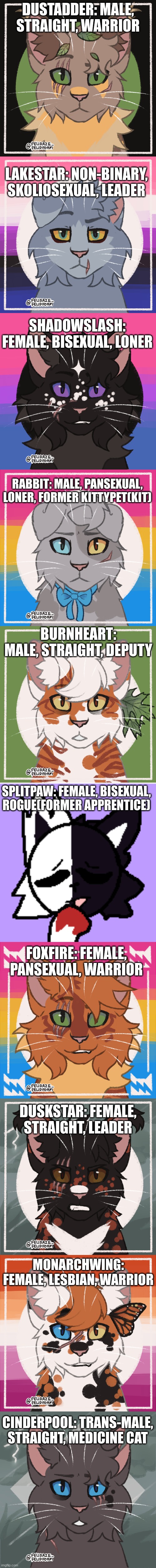 All My Warrior Cat RP OCs | DUSTADDER: MALE, STRAIGHT, WARRIOR; LAKESTAR: NON-BINARY, SKOLIOSEXUAL, LEADER; SHADOWSLASH: FEMALE, BISEXUAL, LONER; RABBIT: MALE, PANSEXUAL, LONER, FORMER KITTYPET(KIT); BURNHEART: MALE, STRAIGHT, DEPUTY; SPLITPAW: FEMALE, BISEXUAL, ROGUE(FORMER APPRENTICE); FOXFIRE: FEMALE, PANSEXUAL, WARRIOR; DUSKSTAR: FEMALE, STRAIGHT, LEADER; MONARCHWING: FEMALE, LESBIAN, WARRIOR; CINDERPOOL: TRANS-MALE, STRAIGHT, MEDICINE CAT | image tagged in warrior cats | made w/ Imgflip meme maker