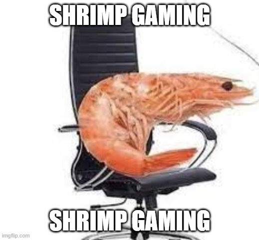 chair shrimp | SHRIMP GAMING SHRIMP GAMING | image tagged in chair shrimp | made w/ Imgflip meme maker