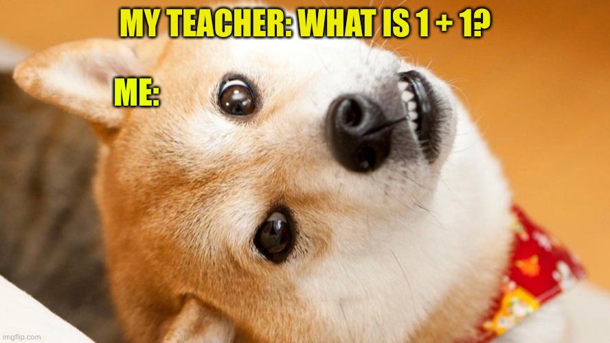 Math | MY TEACHER: WHAT IS 1 + 1? ME: | image tagged in memes,bad pun dog | made w/ Imgflip meme maker