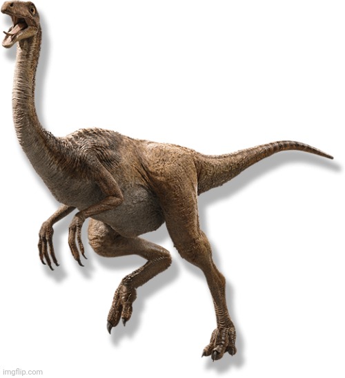 Used in comment | image tagged in gallimimus | made w/ Imgflip meme maker