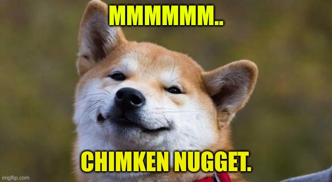 Chimken Nugget | MMMMMM.. CHIMKEN NUGGET. | image tagged in funny memes,bad pun dog | made w/ Imgflip meme maker