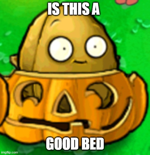 PVZ template | IS THIS A; GOOD BED | image tagged in pvz template | made w/ Imgflip meme maker