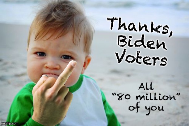 333 Million Americans - We are all so much better off, now. | Thanks, 
Biden
Voters; All
“80 million”
of you | image tagged in memes,success kid original,read between the lines,the salute,do you even realize how much he and you have mucked up | made w/ Imgflip meme maker