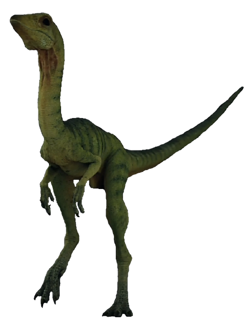 Compsognathus Blank Meme Template