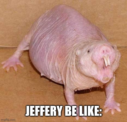 naked mole rat | JEFFERY BE LIKE: | image tagged in naked mole rat | made w/ Imgflip meme maker