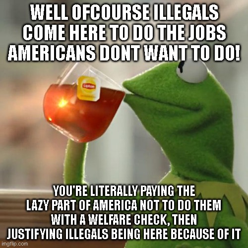 But That's None Of My Business | WELL OFCOURSE ILLEGALS COME HERE TO DO THE JOBS AMERICANS DONT WANT TO DO! YOU'RE LITERALLY PAYING THE LAZY PART OF AMERICA NOT TO DO THEM WITH A WELFARE CHECK, THEN JUSTIFYING ILLEGALS BEING HERE BECAUSE OF IT | image tagged in memes,but that's none of my business,kermit the frog | made w/ Imgflip meme maker