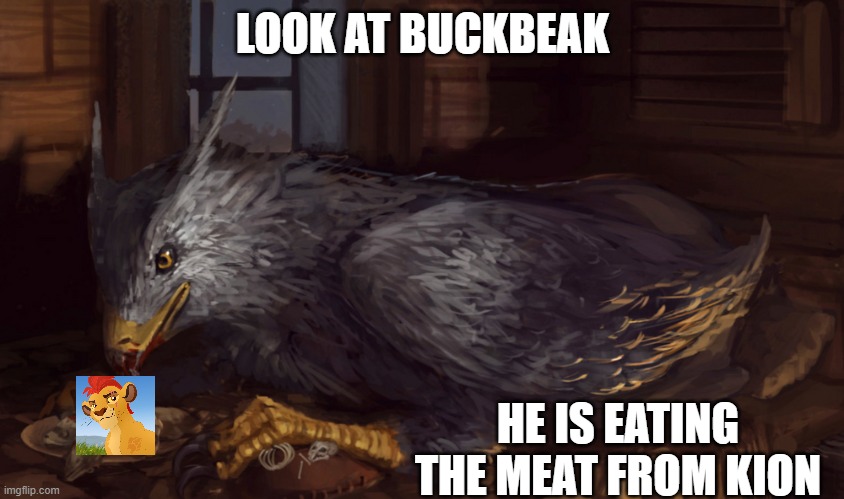 Buckbeak | LOOK AT BUCKBEAK; HE IS EATING THE MEAT FROM KION | image tagged in buckbeak,memes,president_joe_biden | made w/ Imgflip meme maker