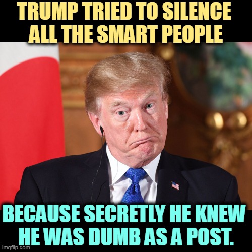 Republicans hate people who know what they are talking about. Facts kill the fun. | TRUMP TRIED TO SILENCE 
ALL THE SMART PEOPLE; BECAUSE SECRETLY HE KNEW 
HE WAS DUMB AS A POST. | image tagged in trump stupid dumb befuddled dumbfounded out of his dapth,trump,hate,smart,people | made w/ Imgflip meme maker
