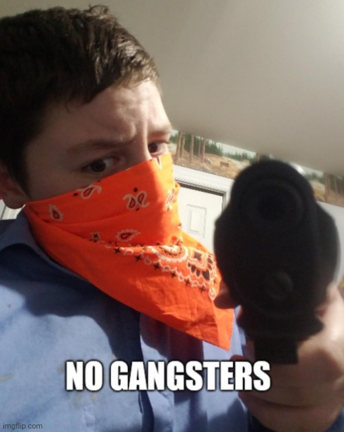 no gangsters | image tagged in memes | made w/ Imgflip meme maker
