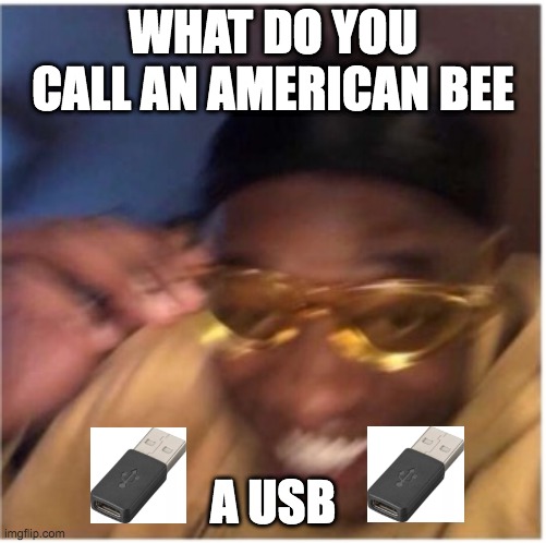 bruh | WHAT DO YOU CALL AN AMERICAN BEE; A USB | image tagged in funny face lemme see that,memes,funny,play on words,dad jokes,dork | made w/ Imgflip meme maker