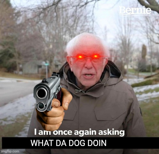 Plz I want to know |  WHAT DA DOG DOIN | image tagged in bernie,what the dog doin | made w/ Imgflip meme maker