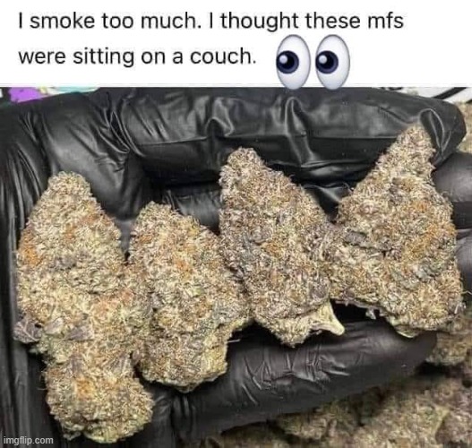 i smoked too much today | image tagged in smoke weed everyday,smoking weed,funny memes,lol so funny | made w/ Imgflip meme maker