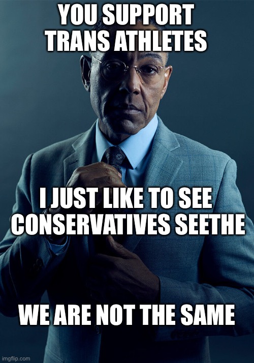 Do you have the cojones to go through gender affirmative therapy for a trophy? | YOU SUPPORT TRANS ATHLETES; I JUST LIKE TO SEE 
CONSERVATIVES SEETHE; WE ARE NOT THE SAME | image tagged in gus fring we are not the same | made w/ Imgflip meme maker