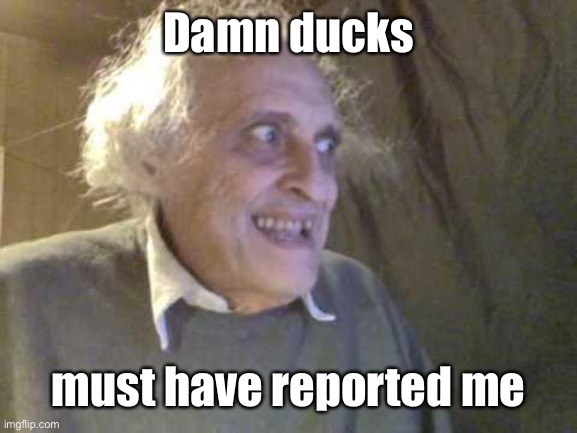 Old Pervert | Damn ducks must have reported me | image tagged in old pervert | made w/ Imgflip meme maker