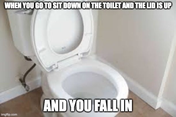 falling in | WHEN YOU GO TO SIT DOWN ON THE TOILET AND THE LID IS UP; AND YOU FALL IN | image tagged in toilet,derp,yeet,sad,funny,memes | made w/ Imgflip meme maker