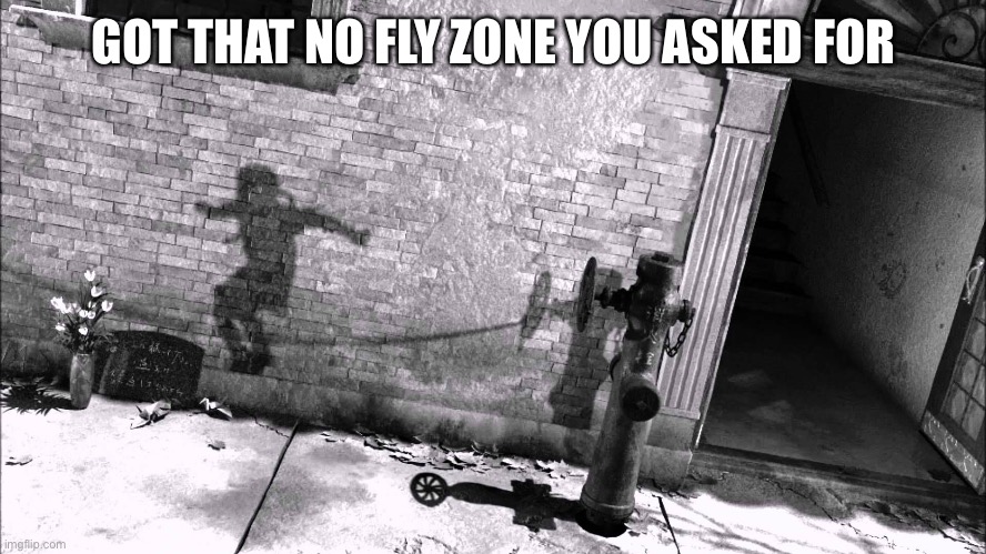 GOT THAT NO FLY ZONE YOU ASKED FOR | made w/ Imgflip meme maker