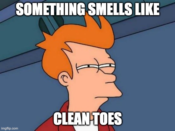 idk | SOMETHING SMELLS LIKE; CLEAN TOES | image tagged in memes,futurama fry,toes | made w/ Imgflip meme maker