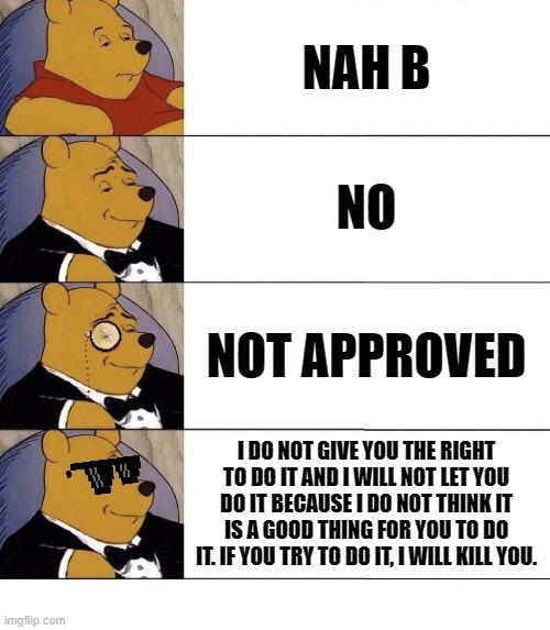 Winnie the Pooh v.21 | NAH B; NO; NOT APPROVED; I DO NOT GIVE YOU THE RIGHT TO DO IT AND I WILL NOT LET YOU DO IT BECAUSE I DO NOT THINK IT IS A GOOD THING FOR YOU TO DO IT. IF YOU TRY TO DO IT, I WILL KILL YOU. | image tagged in winnie the pooh v 21 | made w/ Imgflip meme maker