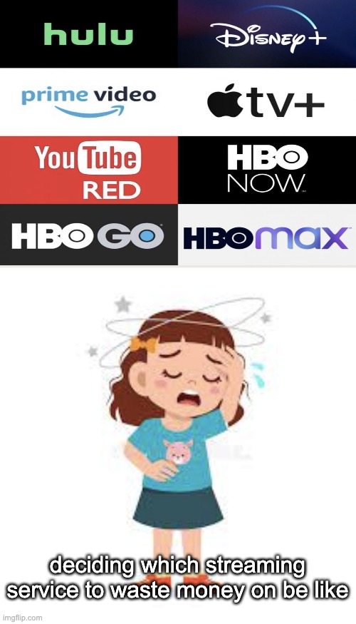 Upvote If You Agree With This | deciding which streaming service to waste money on be like | made w/ Imgflip meme maker