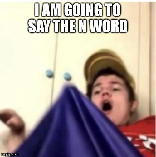 Alfaoxtrot mega boner | I AM GOING TO SAY THE N WORD | image tagged in alfaoxtrot mega boner | made w/ Imgflip meme maker
