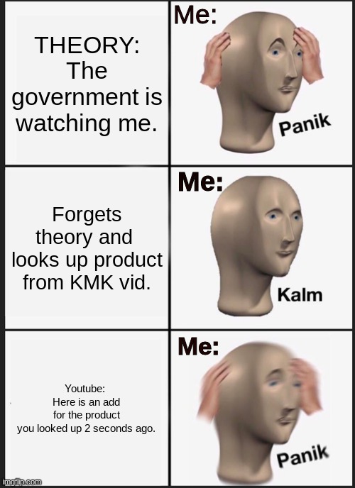 KMK meme | Me:; THEORY:
The government is watching me. Me:; Forgets theory and 
looks up product from KMK vid. Me:; Youtube: 
Here is an add for the product you looked up 2 seconds ago. | image tagged in memes,panik kalm panik,stonks,conspiracy theory,yep i dont care | made w/ Imgflip meme maker