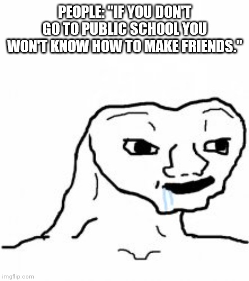 Dumb guy | PEOPLE: "IF YOU DON'T GO TO PUBLIC SCHOOL YOU WON'T KNOW HOW TO MAKE FRIENDS." | image tagged in dumb guy | made w/ Imgflip meme maker