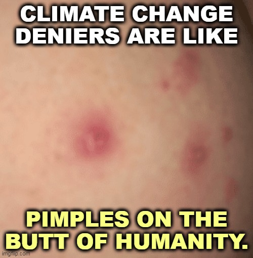 CLIMATE CHANGE DENIERS ARE LIKE; PIMPLES ON THE BUTT OF HUMANITY. | image tagged in global warming,climate change,denial,stone,stupid | made w/ Imgflip meme maker