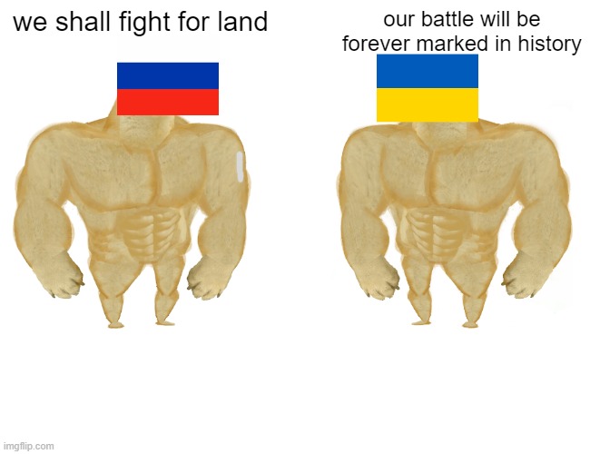 ukraine VS russia in a nuthsell | we shall fight for land; our battle will be forever marked in history | image tagged in memes,buff doge vs cheems | made w/ Imgflip meme maker