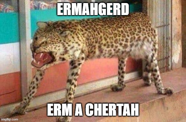 chertah | ERMAHGERD; ERM A CHERTAH | image tagged in cheetah | made w/ Imgflip meme maker