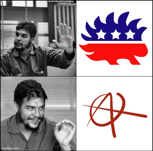 Greed and selfishness are not freedom. | image tagged in che guevara as drake likes,libertarianism,anarchism | made w/ Imgflip meme maker