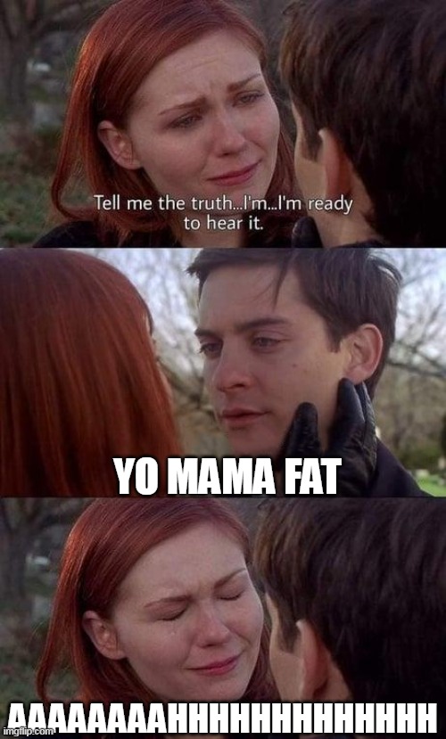 You | YO MAMA FAT; AAAAAAAAHHHHHHHHHHHHH | image tagged in tell me the truth i'm ready to hear it | made w/ Imgflip meme maker