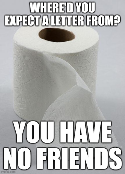 toilet paper | WHERE'D YOU EXPECT A LETTER FROM? YOU HAVE NO FRIENDS | image tagged in toilet paper | made w/ Imgflip meme maker