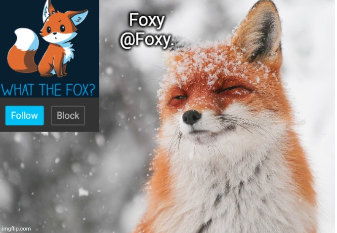Foxy's announcement template | image tagged in foxy's announcement template | made w/ Imgflip meme maker