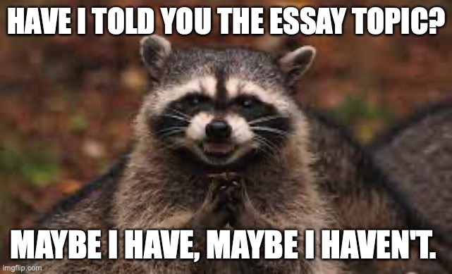 Essay | HAVE I TOLD YOU THE ESSAY TOPIC? MAYBE I HAVE, MAYBE I HAVEN'T. | image tagged in essays | made w/ Imgflip meme maker