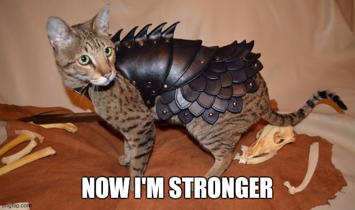 cat armor | NOW I'M STRONGER | image tagged in cat armor | made w/ Imgflip meme maker