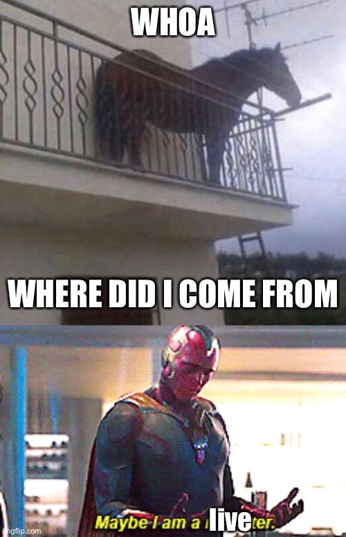 WHOA WHERE DID I COME FROM live | image tagged in juan,maybe i am a monster | made w/ Imgflip meme maker