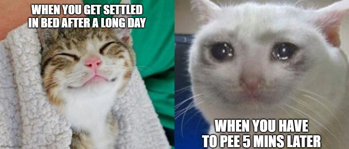 when you have to get up when you just laid down | WHEN YOU GET SETTLED IN BED AFTER A LONG DAY; WHEN YOU HAVE TO PEE 5 MINS LATER | image tagged in happy cat sad cat | made w/ Imgflip meme maker