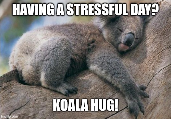 Koala Hug | HAVING A STRESSFUL DAY? KOALA HUG! | image tagged in koala hug | made w/ Imgflip meme maker