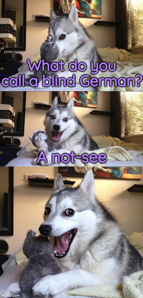 bad-pun-dog-meme-imgflip