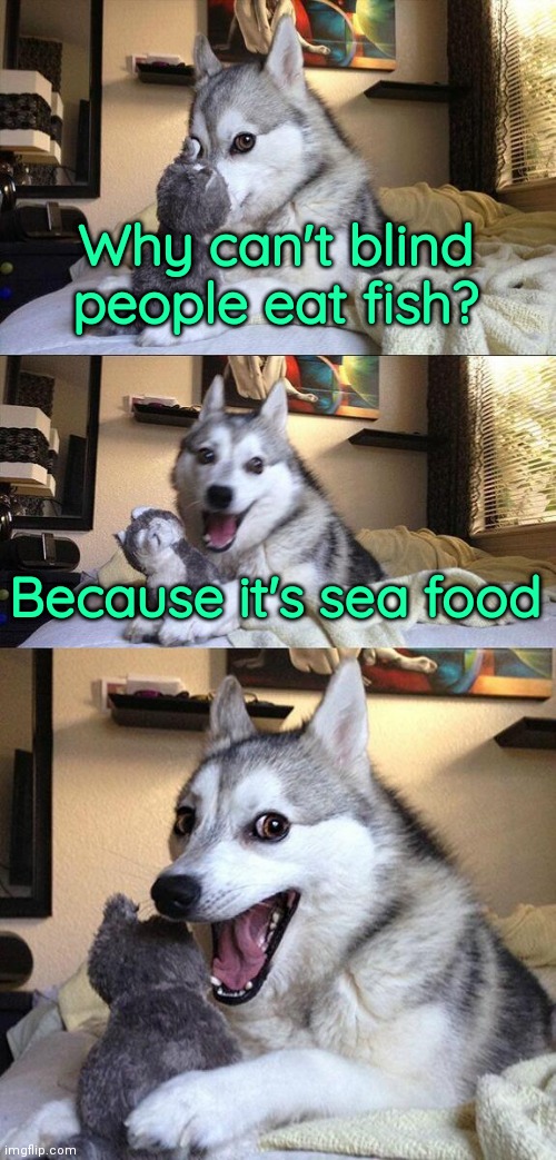 Bad Pun Dog | Why can't blind people eat fish? Because it's sea food | image tagged in bad pun dog,funny,memes,funny memes,dark humor | made w/ Imgflip meme maker