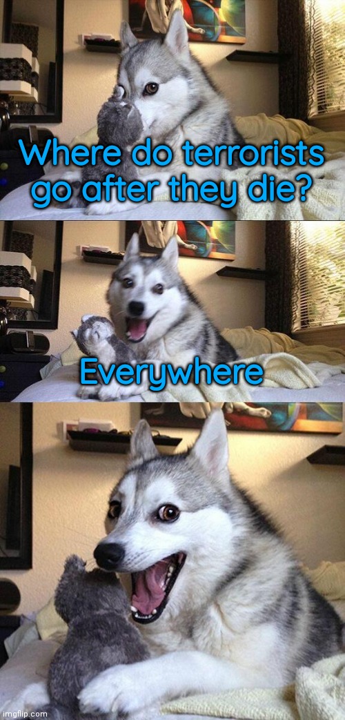 Bad Pun Dog | Where do terrorists go after they die? Everywhere | image tagged in bad pun dog,funny,memes,funny memes,dark humor | made w/ Imgflip meme maker