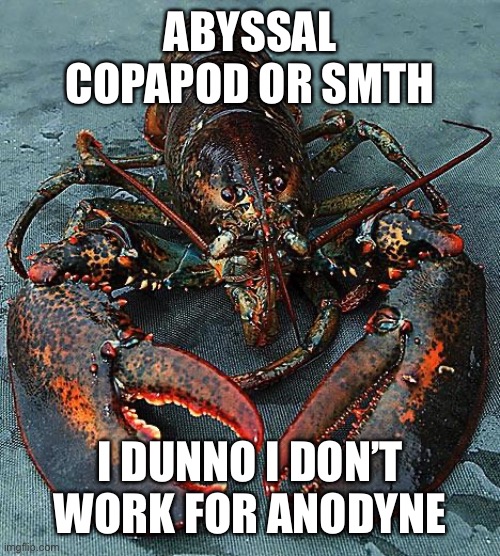 90% of people won’t understand this | ABYSSAL COPAPOD OR SMTH; I DUNNO I DON’T WORK FOR ANODYNE | image tagged in lobster | made w/ Imgflip meme maker