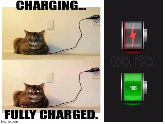 Cat charging | image tagged in cat,funny cats,lol,funny | made w/ Imgflip meme maker