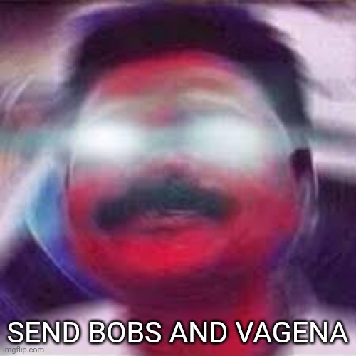 Send bobs | SEND BOBS AND VAGENA | image tagged in send bobs | made w/ Imgflip meme maker