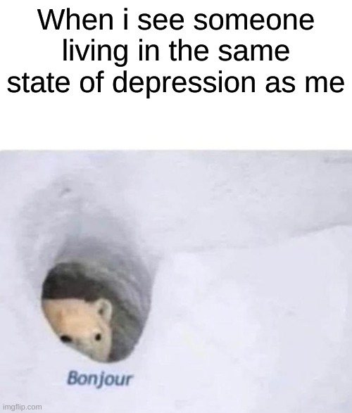 Bonjour | When i see someone living in the same state of depression as me | image tagged in bonjour | made w/ Imgflip meme maker