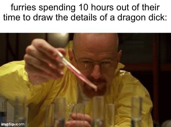 fr | furries spending 10 hours out of their time to draw the details of a dragon dick: | image tagged in walter white cooking | made w/ Imgflip meme maker