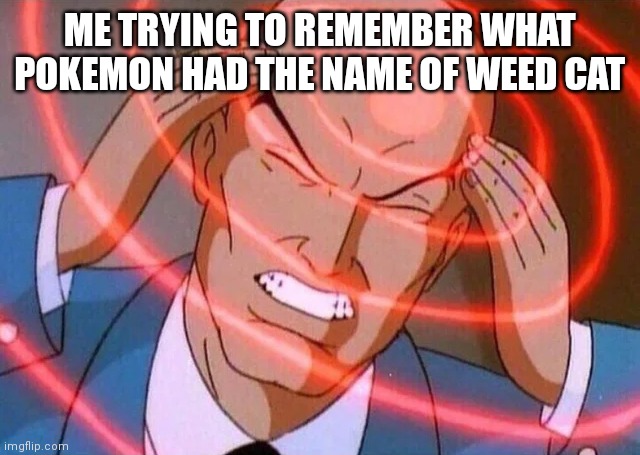 I'm probably sure It was litten IDK | ME TRYING TO REMEMBER WHAT POKEMON HAD THE NAME OF WEED CAT | image tagged in trying to remember | made w/ Imgflip meme maker