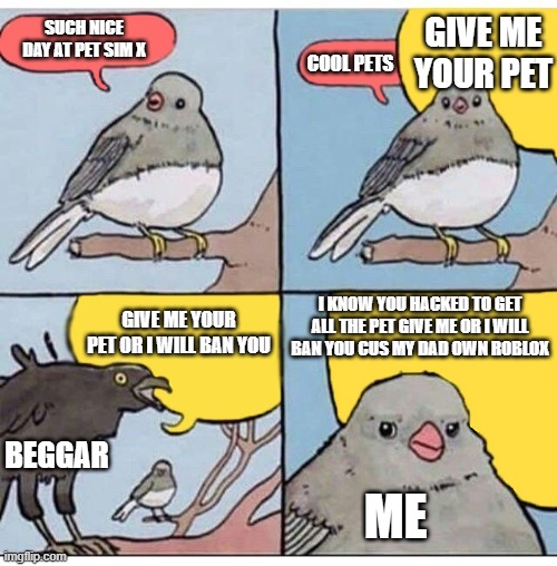 beggar in roblox be like | GIVE ME YOUR PET; SUCH NICE DAY AT PET SIM X; COOL PETS; I KNOW YOU HACKED TO GET ALL THE PET GIVE ME OR I WILL BAN YOU CUS MY DAD OWN ROBLOX; GIVE ME YOUR PET OR I WILL BAN YOU; BEGGAR; ME | image tagged in annoyed bird,roblox meme | made w/ Imgflip meme maker